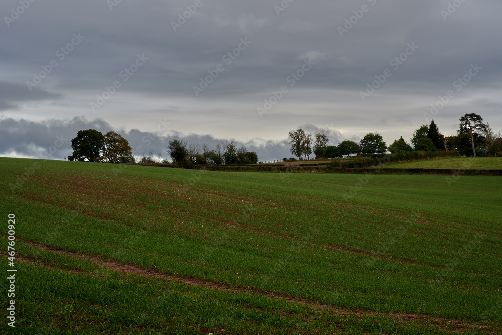Farm field under cloudy sky with trees and hedges on horizon