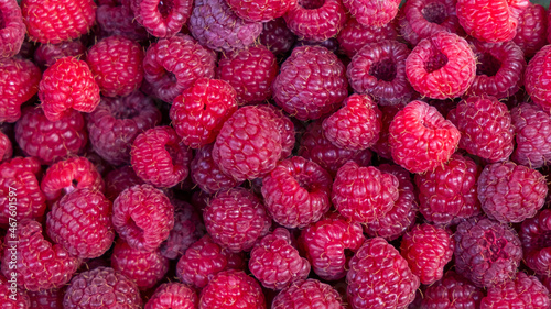 fresh jucy raspberry background berries at market