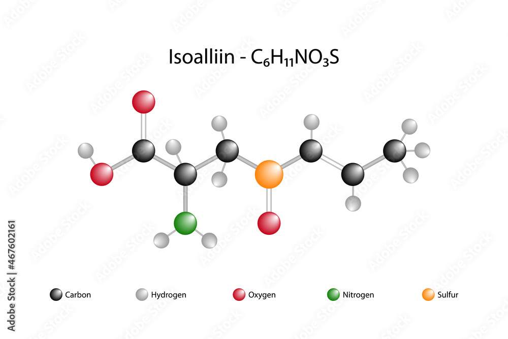 Molecular formula of isoalliin. Isoalliin is a sulfurcontaining