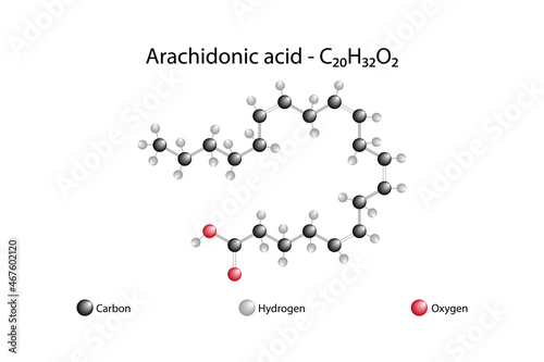 Molecular formula of arachidonic acid. Arachidonic acid is an unsaturated omega-6 fatty acid.