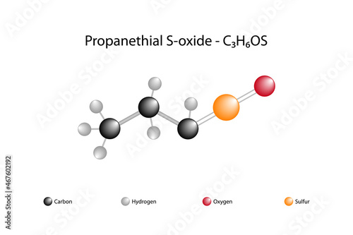 Molecular formula of propanethial S-oxide. Propanethial S-oxide is a thiocarbonyl compound and a sulfoxide.