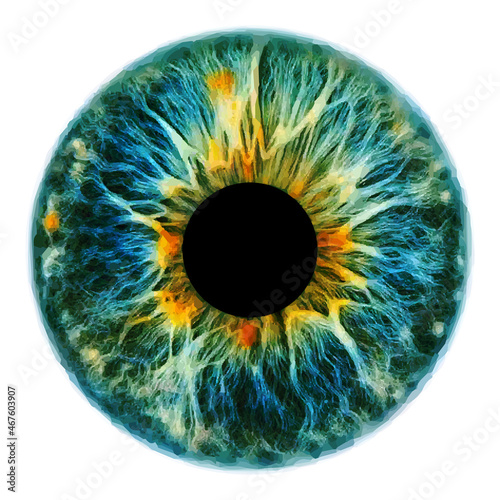Colorful eye iris pupil vector illustration isolated photo