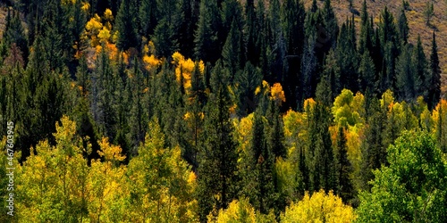 Aspen Lines