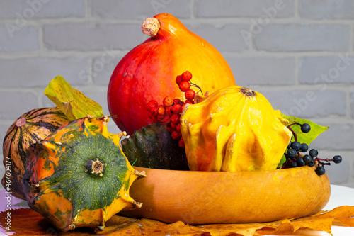 Autumn still life. Decorative pumpkins in a wooden bowl with yellow leaves. berries on the background of a white brick wall.