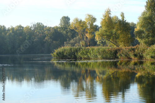 Early autumn lake scenery with lush greenery in the morning
