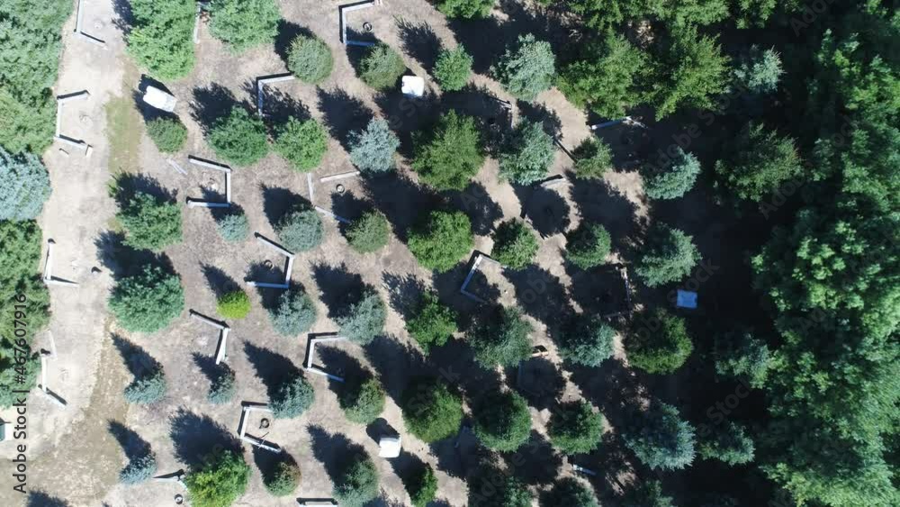 Ascending Aerial View Over Campground With Pine Tree Forest In Autumn Ascending Aerial View Over Campground With Pine Tree Forest In Autumn
