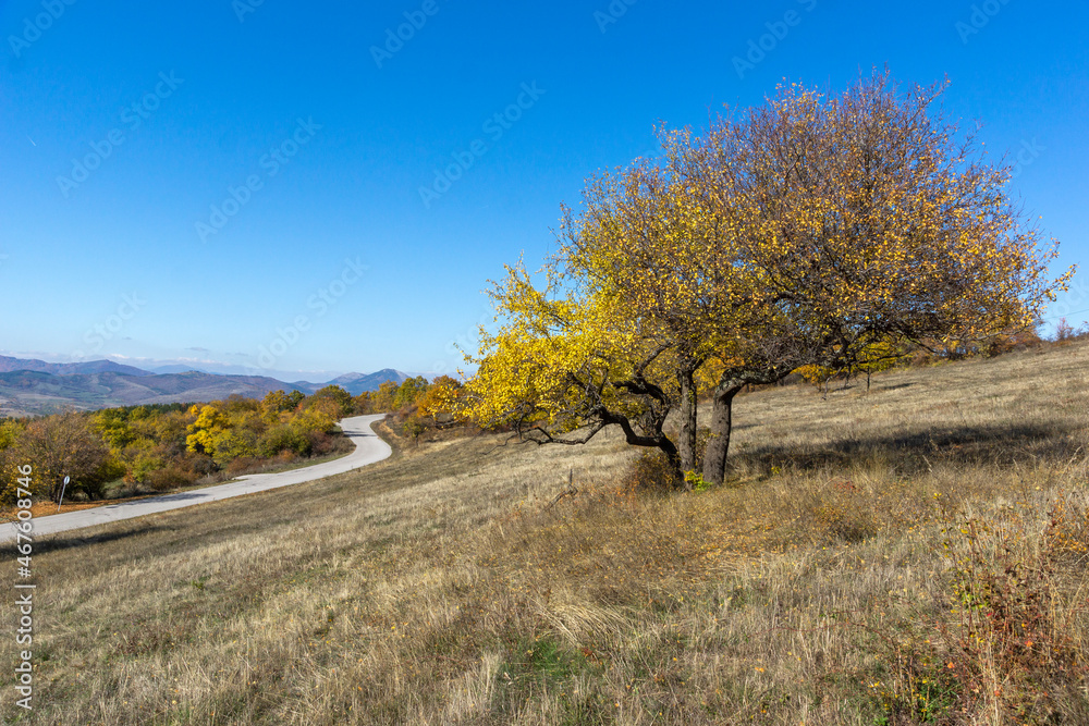 Autumn landscape of Cherna Gora (Monte Negro) mountain, Bulgaria Autumn landscape of Cherna Gora (Monte Negro) mountain, Bulgaria