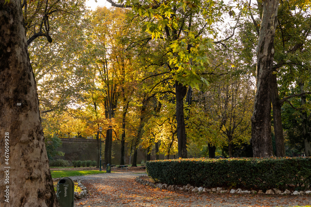 Naklejka premium Autumn in Turin, Piedmont, Italy