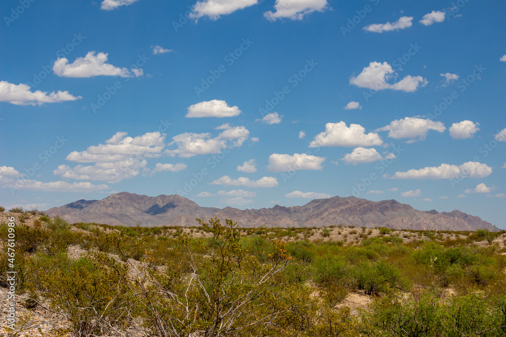 Desert Landscape