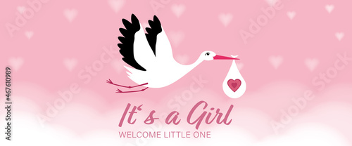 It's a Girl - Baby Shower. Card with stork icon on it.