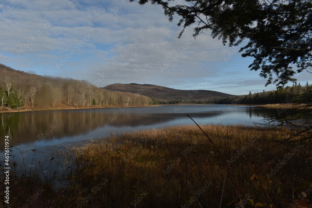 Fototapeta premium country
