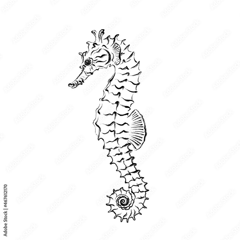 Seahorse. Black ink brush texture. High quality illustration