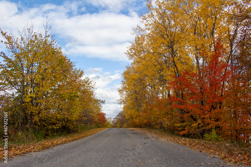 Fall Landscape Across Quebec, Canada