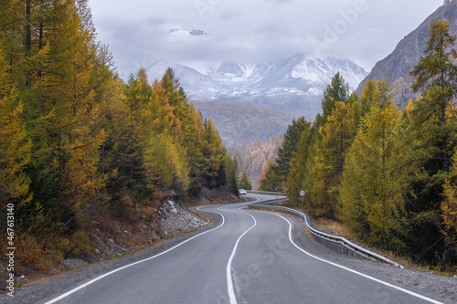 A road in a mountain valley surrounded by a forest of larch and fir trees against the backdrop of a mountain range in autumn. A car is driving in the foreground. © Galina
