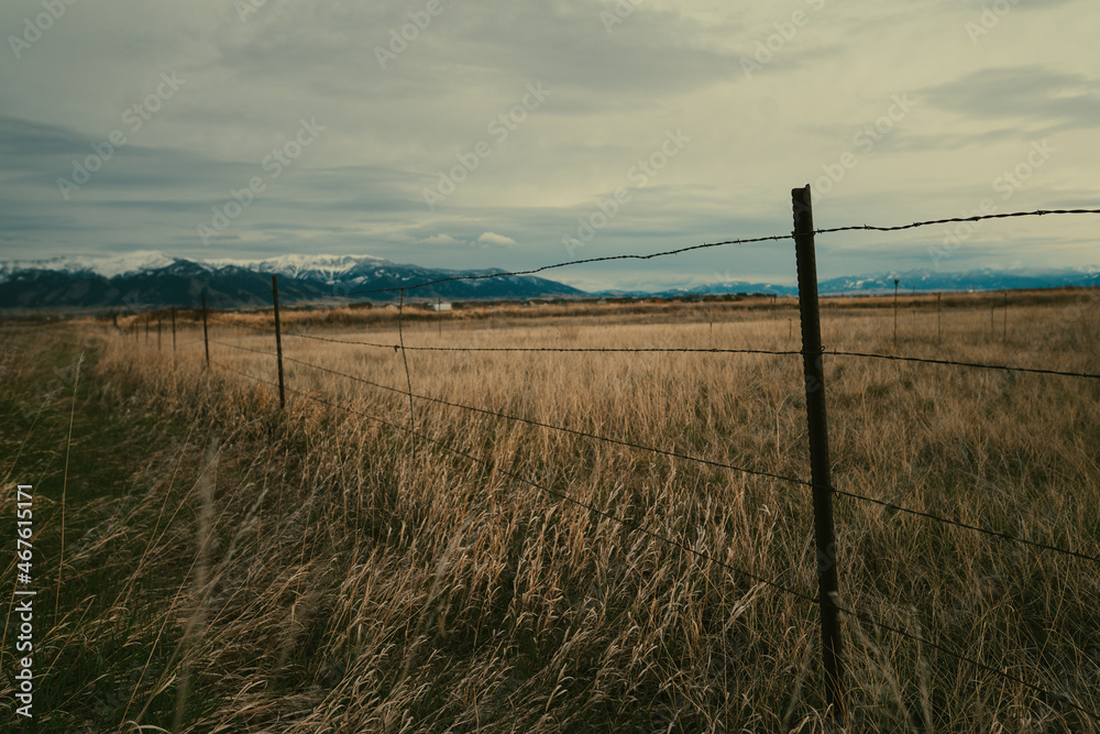 Fence in Montana Field