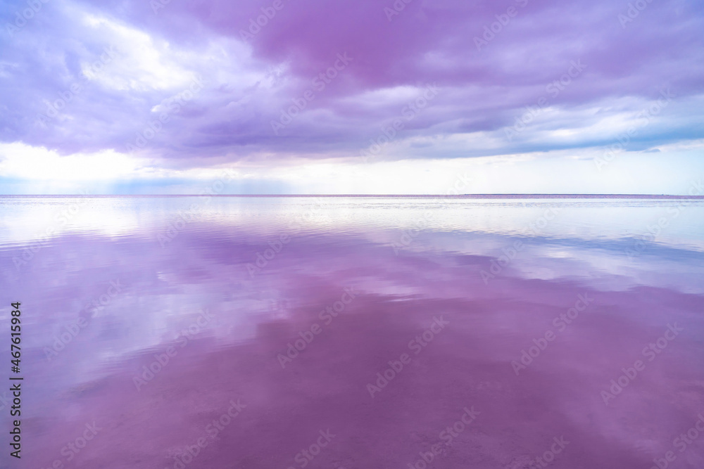 Obraz premium The coast of the pink lake. The pink color of the water gives the clouds a pinkish tint. Skyline.