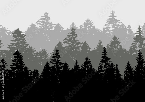 Vector background with forest. Vector illustration with trees. © Jerzy