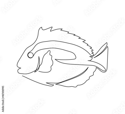 Angel fish, surgeonfish, imperial angel continuous line drawing. One line art of exotic, tropical fish, coral fish, seafood.