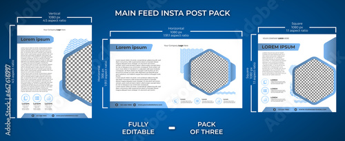 Insta post main feed template pack.