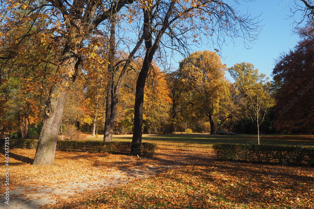 Park jesienią, Wrocław, Polska