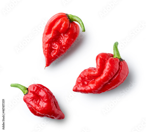 hot red ghost peppers photo