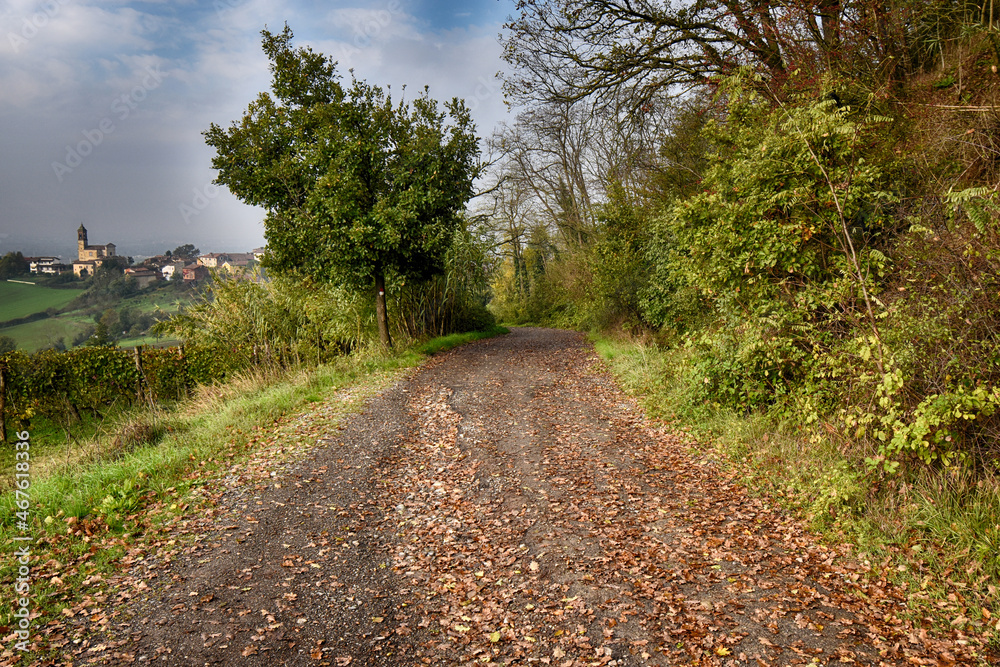Fototapeta premium Mombisaggio Colli Tortonesi - Italia