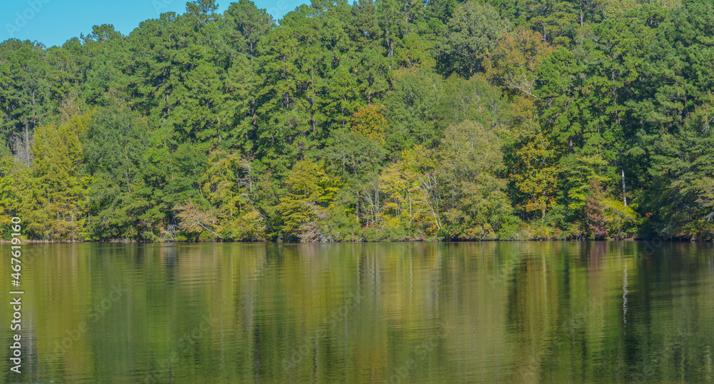 Beautiful view of Lake Claiborne State Park, in Homer, Claiborne Parish, Louisiana Beautiful view of Lake Claiborne State Park, in Homer, Claiborne Parish, Louisiana