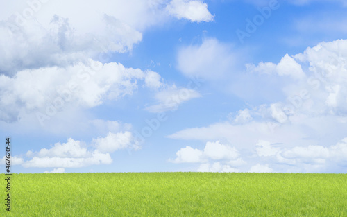 Green grassland and blue sky, 3d rendering.