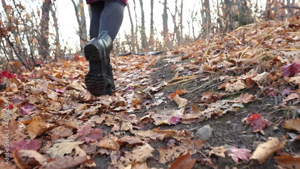 The camera pans behind the legs of a girl walking through the autumn leaves in the forest. A beautiful girl is walking through the autumn forest. The camera pans behind the legs of a girl walking through the autumn leaves in the forest. A beautiful girl is walking through the autumn forest.