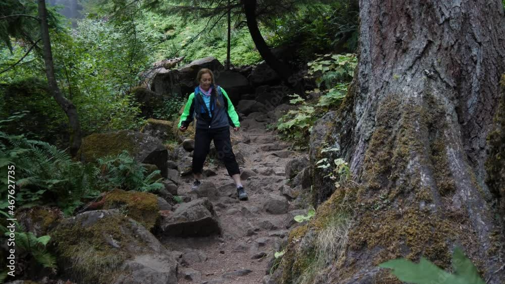 A retired woman hikes down a rocky trail in Pacific Northwest next to a massive tree. A retired woman hikes down a rocky trail in Pacific Northwest next to a massive tree.