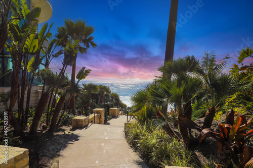 Fototapeta Naklejka Na Ścianę i Meble -  a staircase down to the beach surrounded by lush green palm trees and plants with a gorgeous sky at sunset at Dana Strands Beach in Dana Point California USA