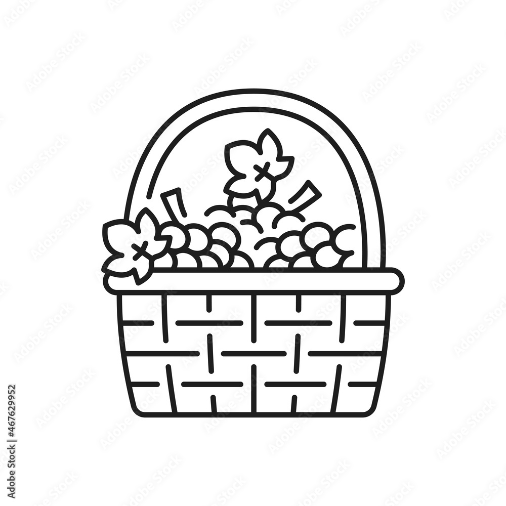 Basket of grape isolated thin line icon. Vector vintage basket with spring or summer flowers and fruits, symbol of Portugal, outline sign. Basket of grape isolated thin line icon. Vector vintage basket with spring or summer flowers and fruits, symbol of Portugal, outline sign.