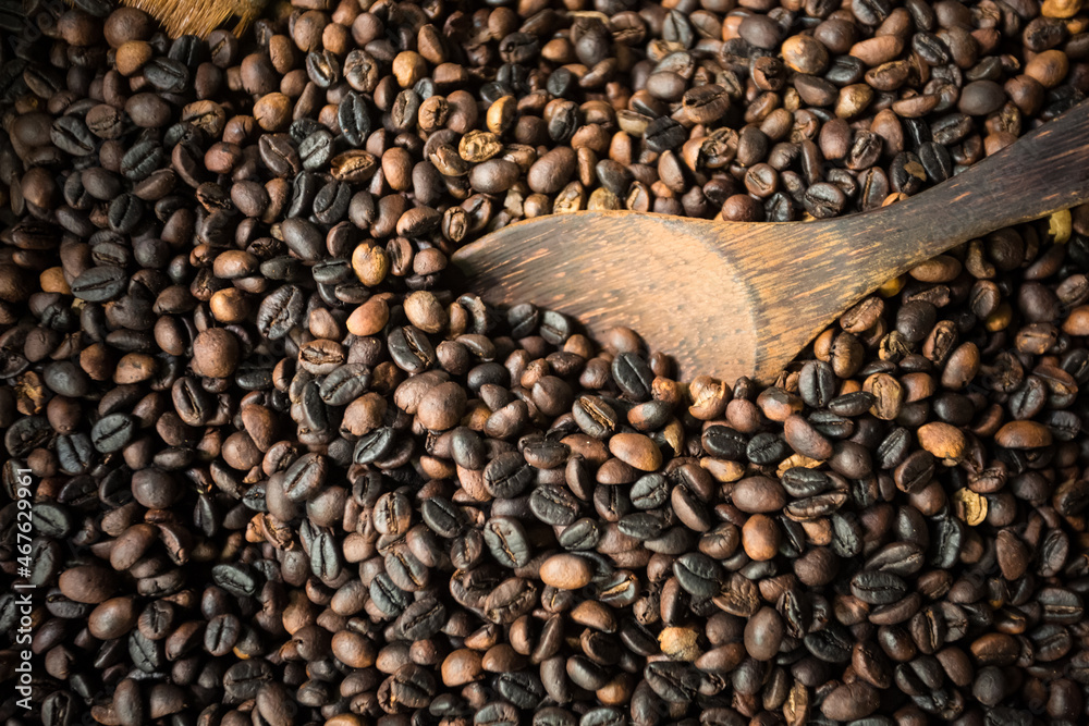 Fototapeta premium dried Balinese coffee 