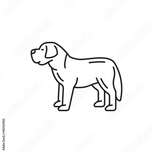 Swiss mountain dog breed profile view isolated thin line icon. Vector St. Bernard  Bernese sennenhund puppy. Switzerland hunting guard dog portrait  funny character domestic pet friend
