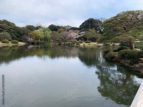 Tokyo Japan 2019 Cherry Blossom Zen Garden