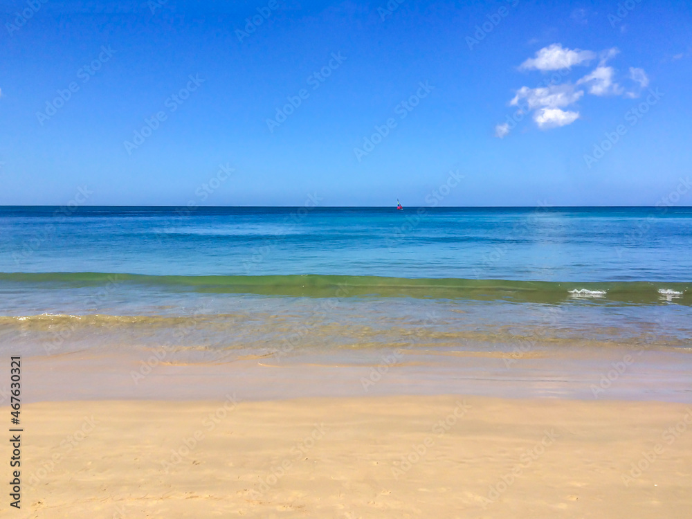 Fototapeta premium beach, palm trees and Andaman sea in Thailand on Phuket island