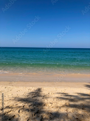 beach  palm trees and Andaman sea in Thailand on Phuket island