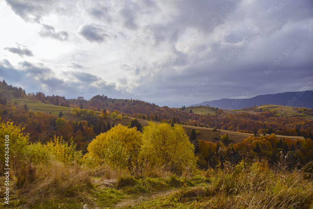Naklejka premium autumn landscape in the mountains