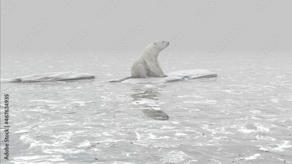Fototapeta premium Polar bear standing on last melting iceberg in the ocean, aerial view global warming concept, polar bear in extinction danger 