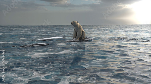 Polar bear standing on last melting iceberg in the ocean, aerial view
global warming concept, polar bear in extinction danger
