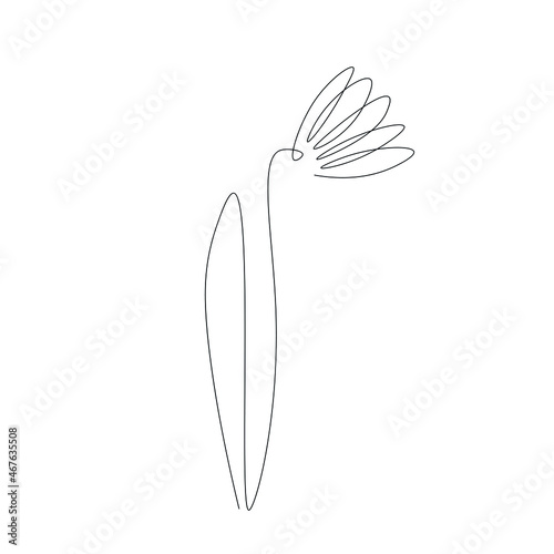 Spring flower background. Continuous line drawing. Vector illustration