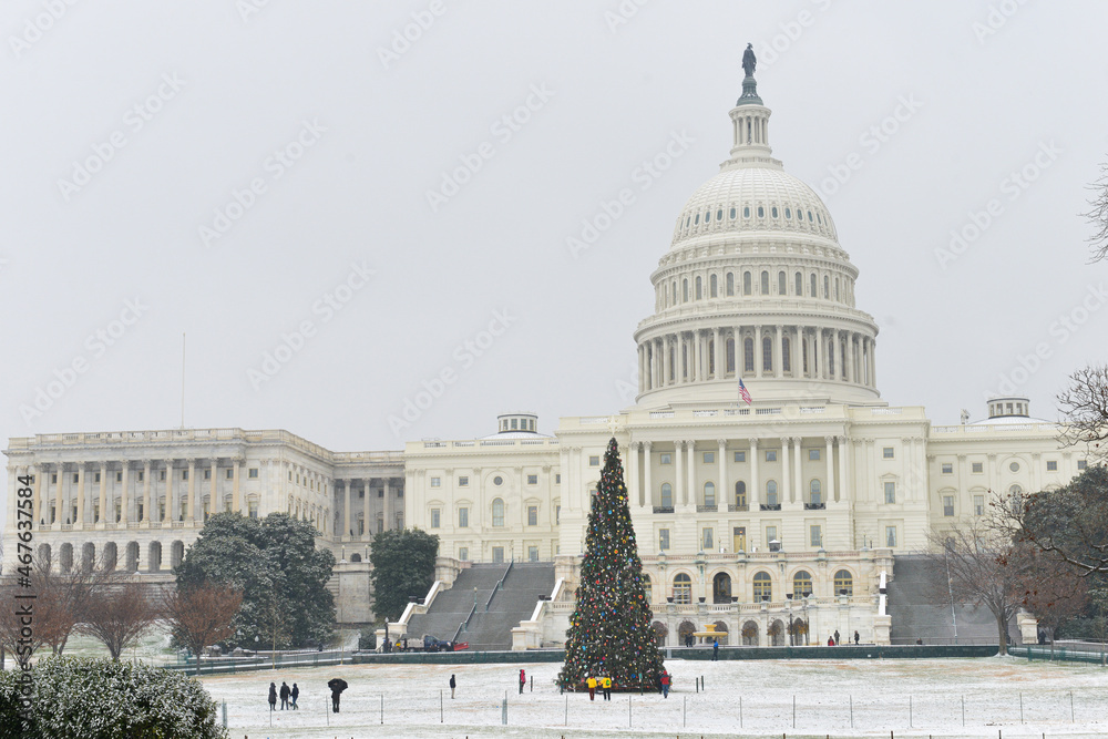 Naklejka premium Christmas tree and US Capitol in wintertime - Washington DC United States