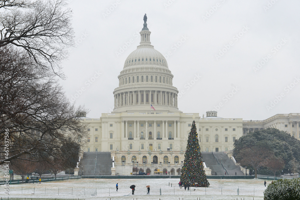 Christmas tree and US Capitol in wintertime - Washington DC United States