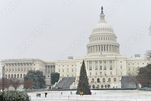 Christmas tree and US Capitol in wintertime - Washington DC United States