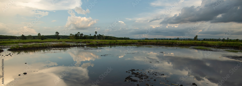 Rice fields rice paddy’s damaged by heavy rain and flooding causing ...