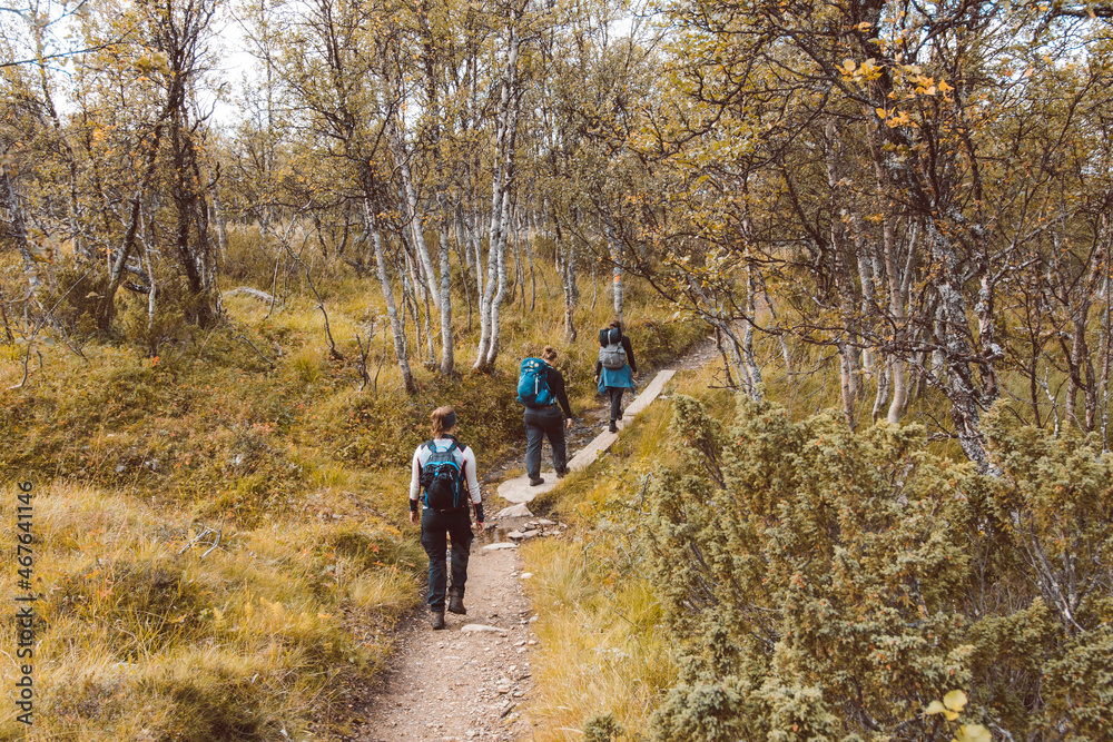 hiking in the forest in Sweden