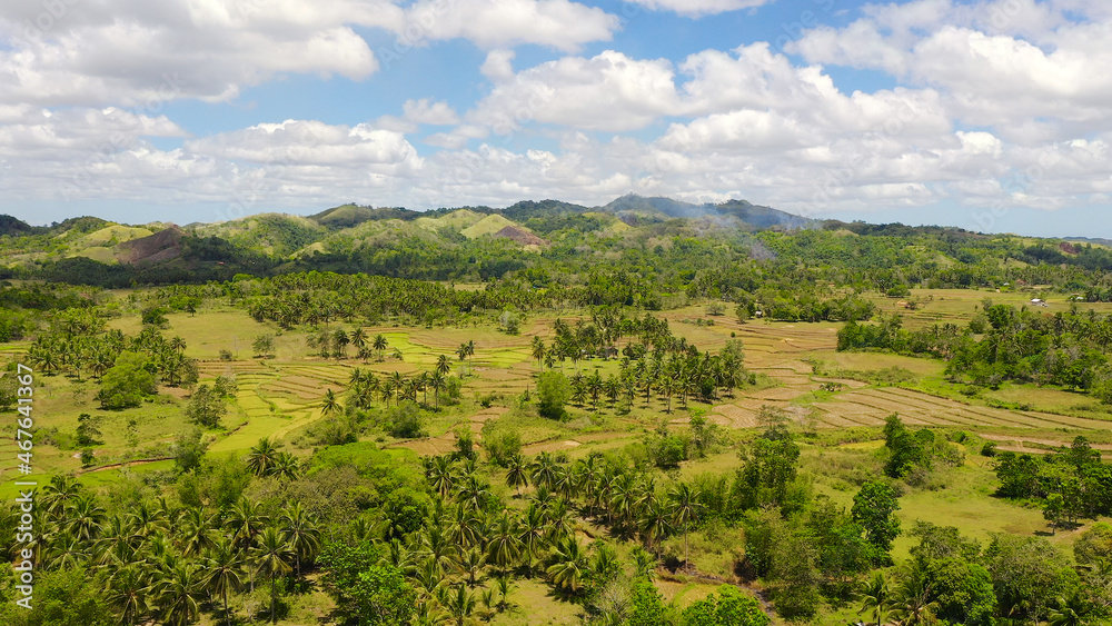 Tropical landscape: Rice fields and hills covered with tropical vegetation. Bohol,Philippines.