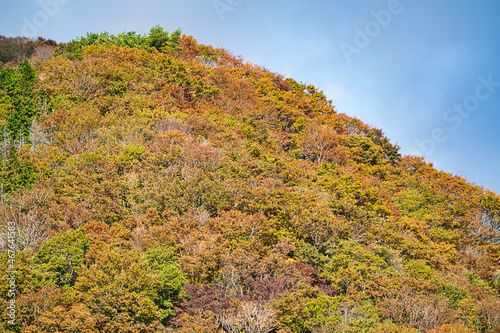 秋の伊吹山