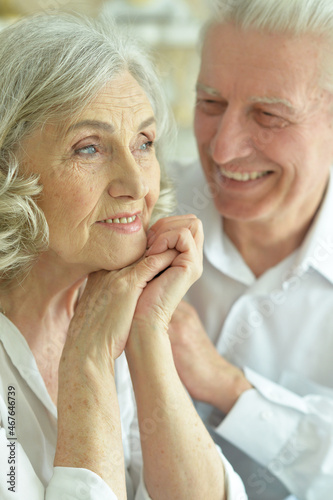 Portrait of happy beautiful senior couple posing at home