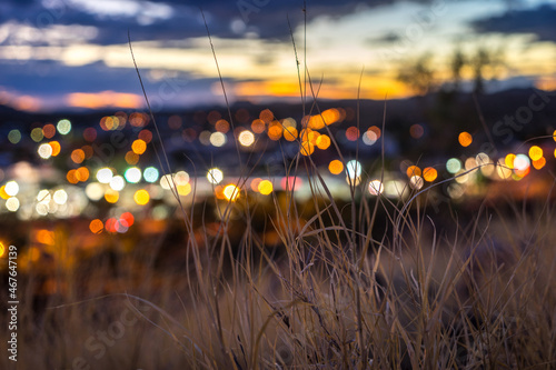 Blurred city lights with a patch of grass in the foreground at sunset in Alice Springs, Australia